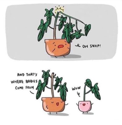 123641847_179152370481948_2495441419399578489_n