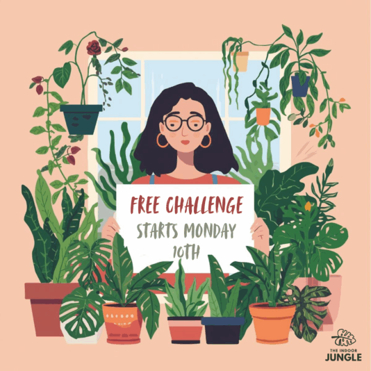Sign up for FREE to take part.