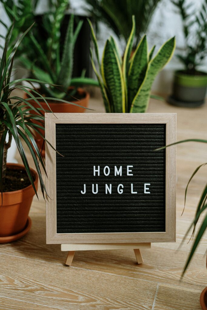 Home Jungle Sign